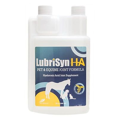 LubriSyn Pet and Equine Hip and Joint Supplement for Dogs, Horses and Cats, 32 oz.