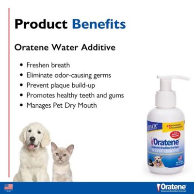 Image showing  Brushless Enzymatic Oral Care Therapy Water Additive for Dogs and Cats, 4 oz.