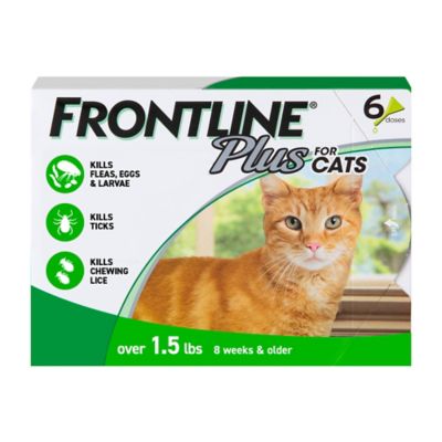 Frontline Plus For Cat & Kitten Flea & Tick Spot Treatment, 6ct