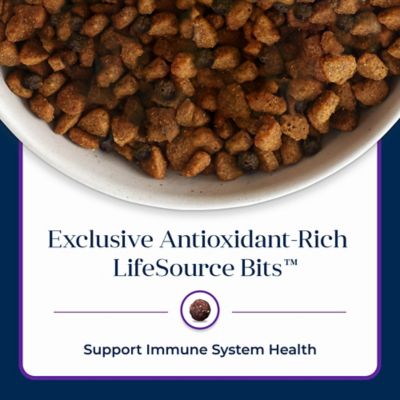 Image showing 6 th Blue Buffalo Basics Adult Grain-Free Limited Ingredient Turkey and Potato Recipe Dry Dog Food