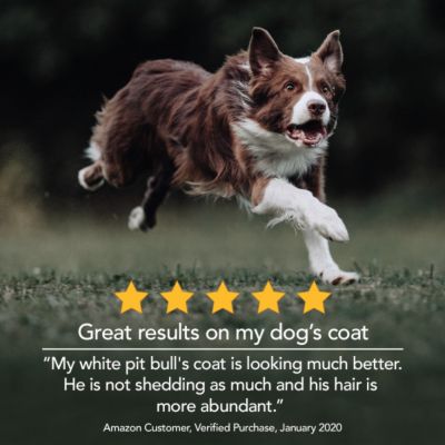 Image showing 7 th Nutri-Vet Fish Oil Skin and Coat Soft Gel Supplement for Dogs and Cats, 0.4 lb., 100 ct.