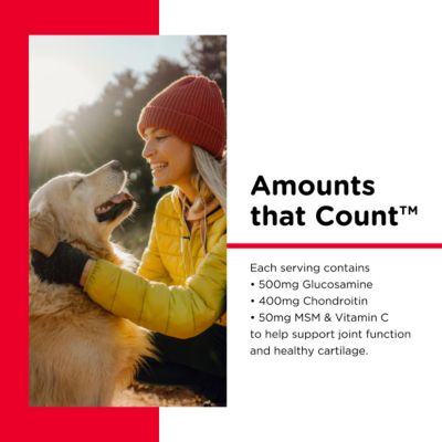 Image showing 6 th Nutri-Vet Advanced Strength Chewable Hip and Joint Supplement Tablets for Dogs, 8 oz., 150 ct.