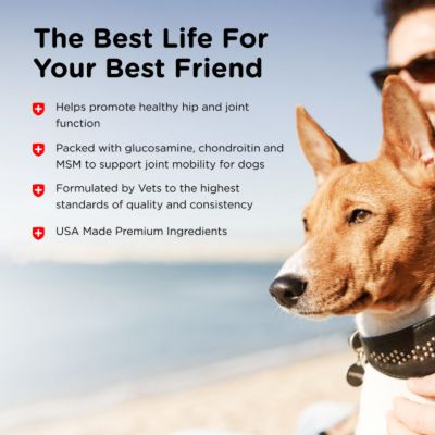 Image showing 7 th Nutri-Vet Advanced Strength Chewable Hip and Joint Supplement Tablets for Dogs, 8 oz., 150 ct.