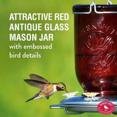 Image showing  32 oz. Mason Jar Glass Hummingbird Feeder, Red