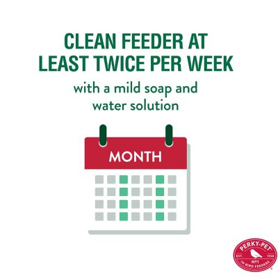 Image showing 5 th Perky-Pet 32 oz. Mason Jar Glass Hummingbird Feeder, Red