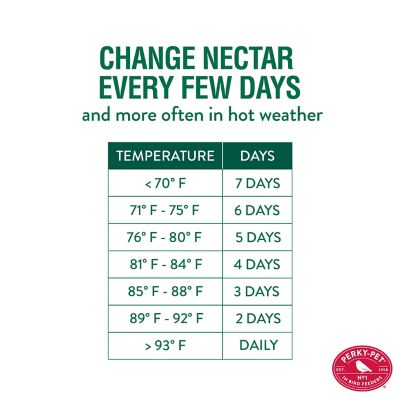 Image showing 7 th Perky-Pet 32 oz. Mason Jar Glass Hummingbird Feeder, Red