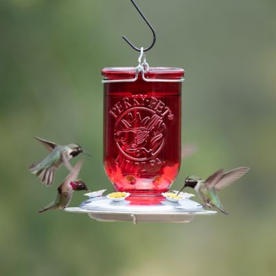 Image showing 8 th Perky-Pet 32 oz. Mason Jar Glass Hummingbird Feeder, Red