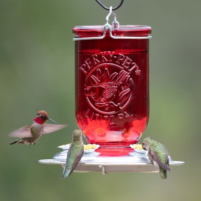Image showing 9 th Perky-Pet 32 oz. Mason Jar Glass Hummingbird Feeder, Red