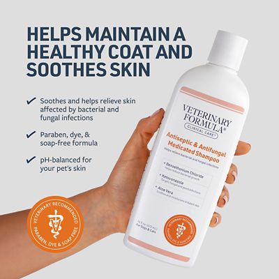 Image showing  Antiseptic and Antifungal Medicated Shampoo for Dogs and Cats, 16 oz.