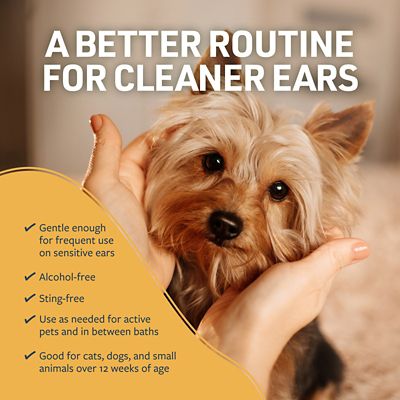 Image showing 8 th Veterinary Formula Antiseptic and Antifungal Medicated Shampoo for Dogs and Cats, 16 oz.