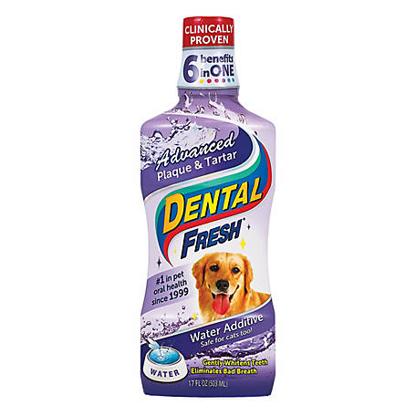 SynergyLabs Dental Fresh Advanced Plaque and Tartar Water Additive for Cats & Dogs, 17 oz.