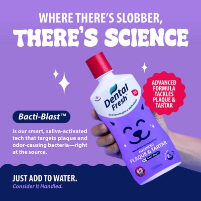 Image showing 5 th Dental Fresh Advanced Plaque and Tartar Water Additive for Cats and Dogs, 17 oz.