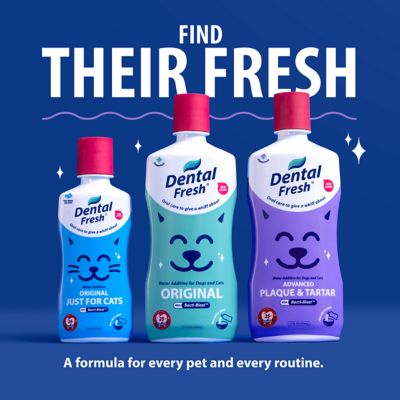 Image showing 7 th Dental Fresh Advanced Plaque and Tartar Water Additive for Cats and Dogs, 17 oz.