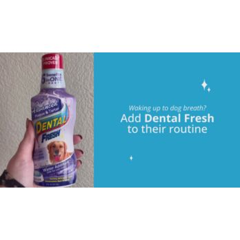 Dental Fresh Advance Whitening Perros