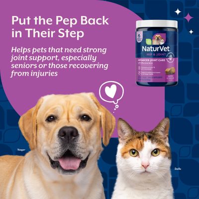 Image showing  ArthriSoothe-GOLD Soft Chews for Cats and Dogs, Level 3, 180 ct.