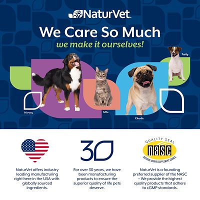 Image showing  Quiet Moments Melatonin Soft Chewable Calming Supplement Treats for Dogs, 70 ct.