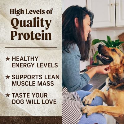 Image showing 6 th Merrick Premium Grain Free Dry Adult Dog Food, Wholesome And Natural Kibble With Real Salmon And Sweet Potato