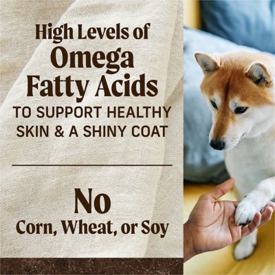 Image showing 8 th Merrick Premium Grain Free Dry Adult Dog Food, Wholesome And Natural Kibble With Real Salmon And Sweet Potato