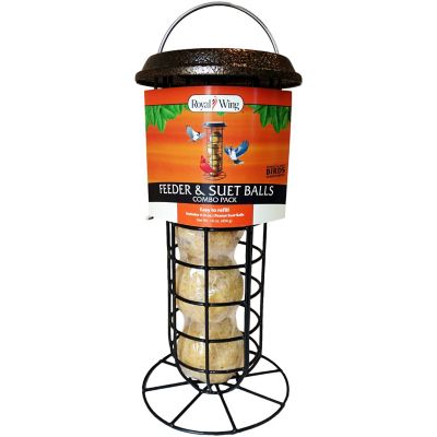 BIRD FEEDERS BIRD FOOD Best Life Birding Birdwatching Tours