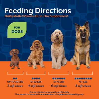 Image showing 5 th NaturVet All-in-One Health and Wellness Soft Chewable Supplements for Dogs, 60 ct.