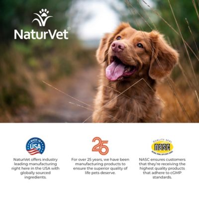 Image showing 7 th NaturVet All-in-One Health and Wellness Soft Chewable Supplements for Dogs, 60 ct.