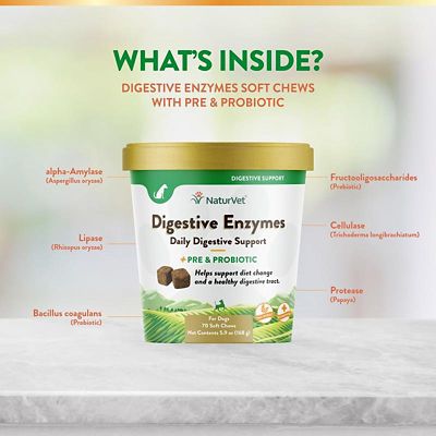 Image showing  Digestive Enzymes Plus Probiotic Soft Chews for Dogs