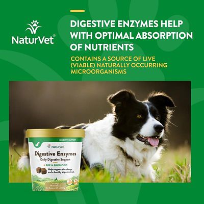 Image showing  Digestive Enzymes Plus Probiotic Soft Chews for Dogs