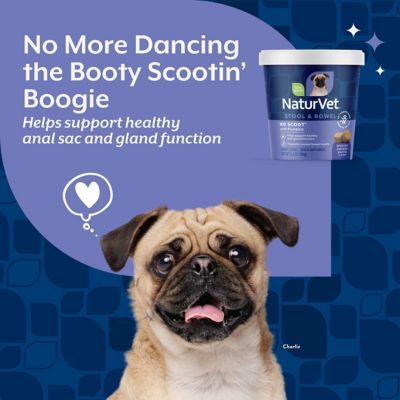 Image showing  No Scoot Soft Chews for Dogs
