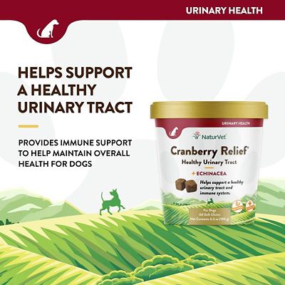 Image showing  Cranberry Relief Plus Echinacea Urinary Tract Supplement for Dogs, 60 ct.
