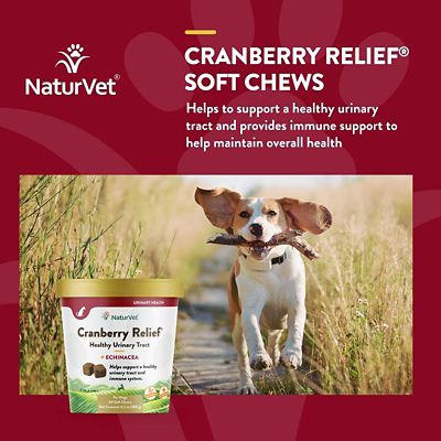 Image showing  Cranberry Relief Plus Echinacea Urinary Tract Supplement for Dogs, 60 ct.
