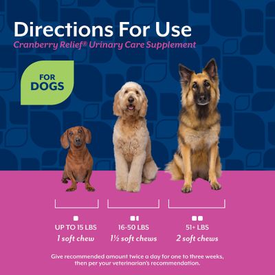 Image showing 5 th NaturVet Cranberry Relief Plus Echinacea Urinary Tract Supplement for Dogs, 60 ct.