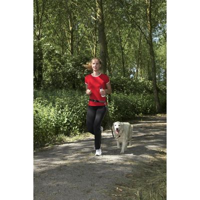 Image showing  Hands Free Adjustable Dog Leash - Great for Running, Jogging, Walking and Hiking - Wear Around the Waist - Black