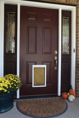 Image showing 8 th PetSafe Extreme Weather Pet Door