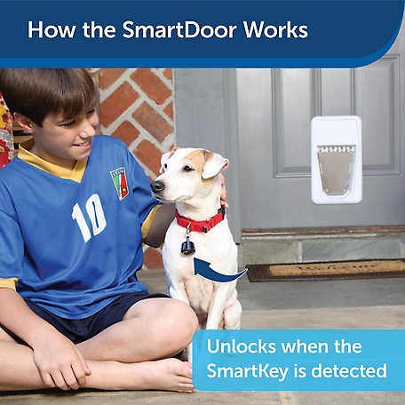 PetSafe Electronic SmartDoor Small Pet Door, 15 lb. Capacity