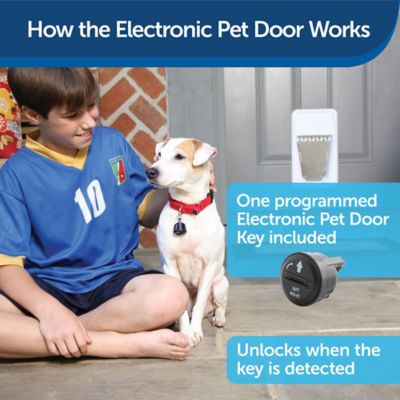 Image showing  Electronic SmartDoor Pet Door, Small, 15 lb. Capacity