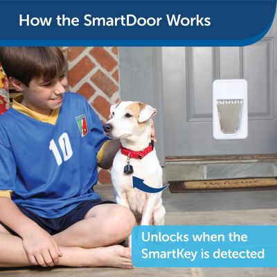 PetSafe Electronic SmartDoor Large Wall Extension Tunnel