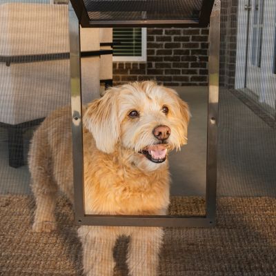 PetSafe Small Pet Screen Door, 8 x 9-1/4 in. AWSOME pet door