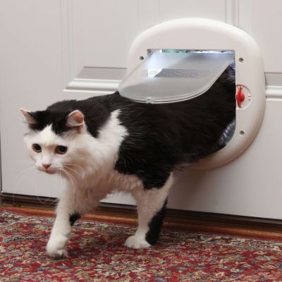 petsafe magnetic cat door