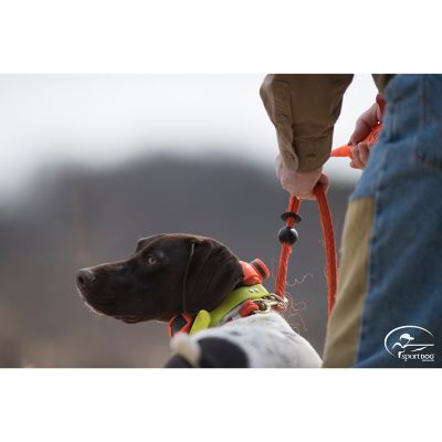 Image showing  UplandHunter 1875 Remote Dog Training Collar, 1 Mile Range, for Dogs 8 lb. or Larger with Neck Sizes 5-22 in.