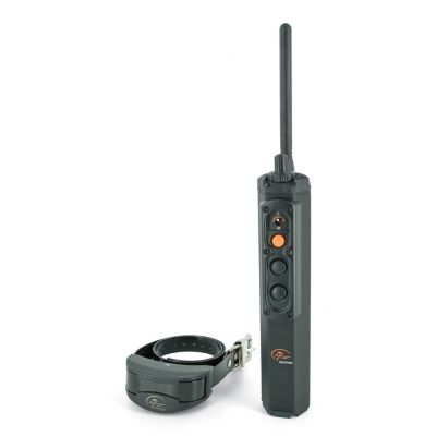 cet veggiedent small