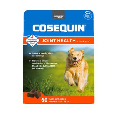 dog joint health chews