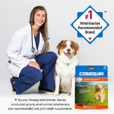 Image showing  Maximum Strength Hip and Joint Chewable Supplement Tablets with MSM and Boswellia for Dogs, 1 lb., 60 ct.