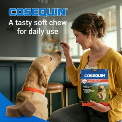 Image showing 5 th Cosequin Maximum Strength Hip and Joint Chewable Supplement Tablets with MSM and Boswellia for Dogs, 1 lb., 60 ct.