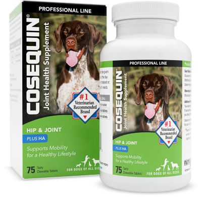 joint supplements for dogs