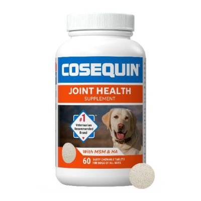 Cosequin Maximum Strength Hip and Joint Supplement with MSM for Dogs, 60 ct.