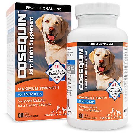 Cosequin Maximum Strength Hip and Joint Supplement with MSM for Dogs, 60  ct. at Tractor Supply Co.