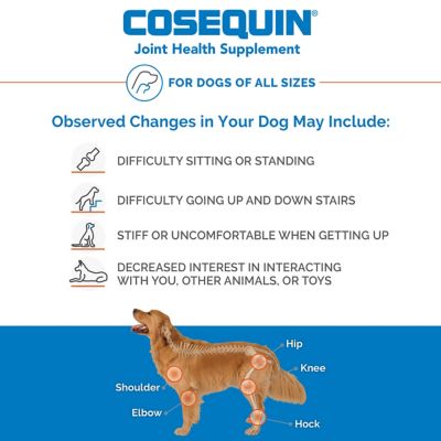 is cosequin bad for dogs