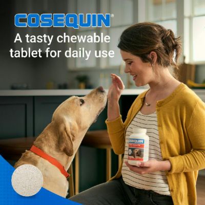 Image showing 5 th Cosequin Maximum Strength Hip and Joint Chewable Supplement Tablets with MSM for Dogs, 60 ct.