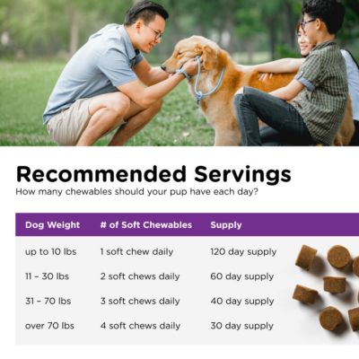 Image showing  Pre and Probiotic Soft Chewable Digestive Supplement for Dogs, 7.2 oz., 120 ct.