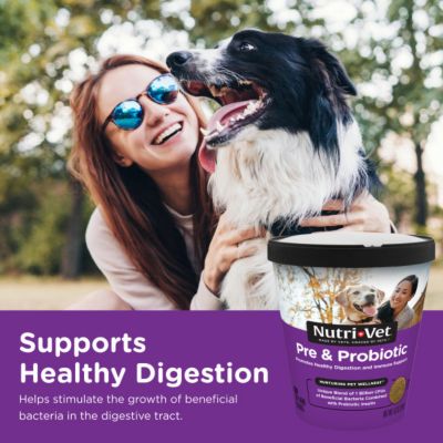 Image showing 5 th Nutri-Vet Pre and Probiotic Soft Chewable Digestive Supplement for Dogs, 7.2 oz., 120 ct.